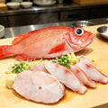 Royal Red Snapper Premium Fresh Fish